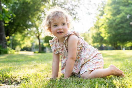 Toddler girl crawling on grass in sunny park in summer