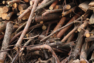 Fototapeta premium Stacked wooden logs and firewood close-up. A pile of firewood prepared for heating. View of logs with annual rings. Rural still life of dry firewood. A pile of dry wooden logs of different sizes