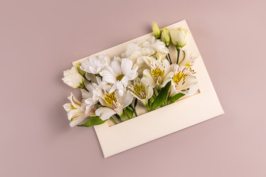 White alstroemeria in open envelope on pastel background