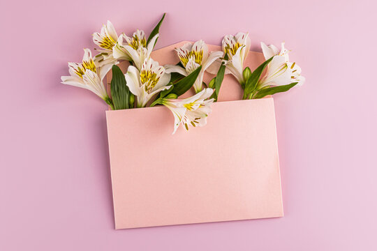 Pink envelope with white alstroemeria on pastel background