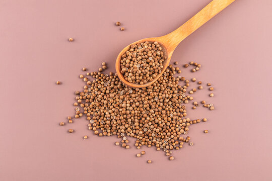 Coriander seed in wooden spoon on pastel background