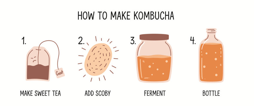 Four step of how to make kombucha with tea bag scoby jar and bottle making kombucha fermentation
