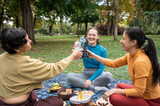 Multiethnic women toasting water bottles at a park picnic