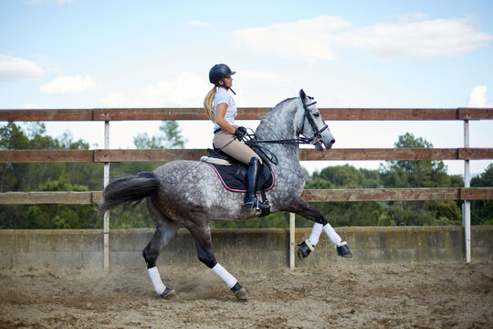 Equestrian woman riding a horse in training arena