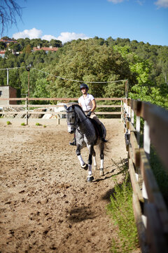 Equestrian woman riding horse in a scenic arena