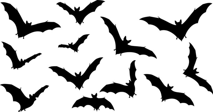Set of silhouette vector of bat and bats on white background 