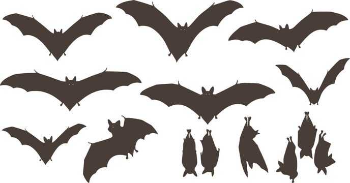 Set of silhouette vector of bat and bats on white background 