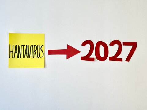 Yellow sticky note with bold black text reading 'HANTAVIRUS' with an arrow and "2027" numbers on plain white wall. No people present.