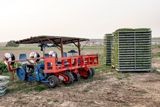 Farm machinery and fresh seedling tray ready for harvest