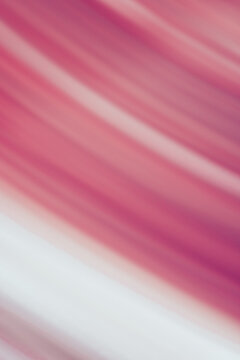 Abstract pink motion blur stripe background with soft gradient