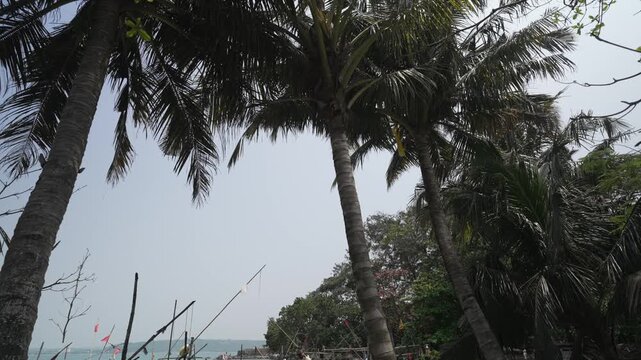 View of Fish boart yard on a sunny day, Galle Dutch Fort, Galle, Southern Province, Sri Lanka, Asia