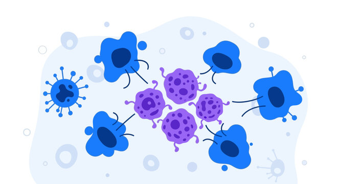 Immune cells attacking virus particles, scientific illustration of immune response