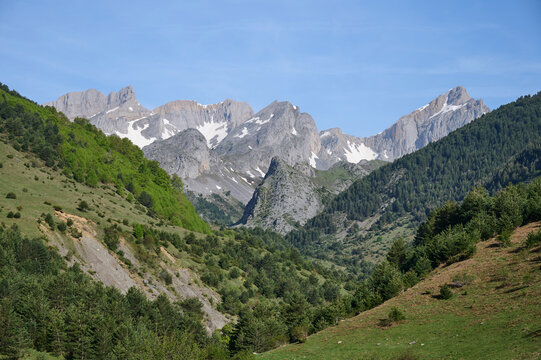 Hecho Valley landscape with Pyrenees peaks and forest