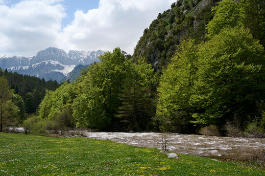 Lush forest Valley and river in Hecho Valley, Pyrenees