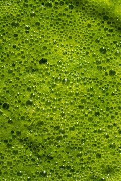 Close up of frothy spinach smoothie green bubble background