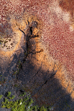 Aerial view of vibrant salt flat textures in Janubio