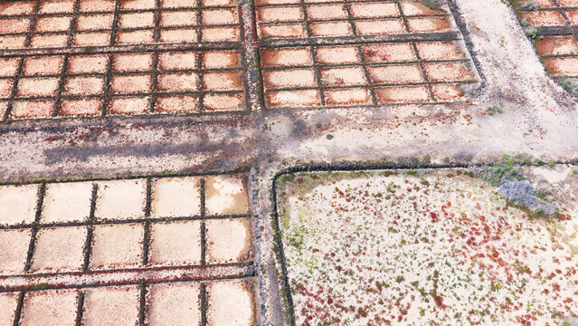Geometric patterns of Janubio salt flats in Lanzarote