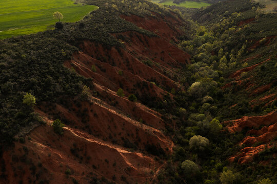 Spring badlands ravine with sand-coloured cliffs, Spain