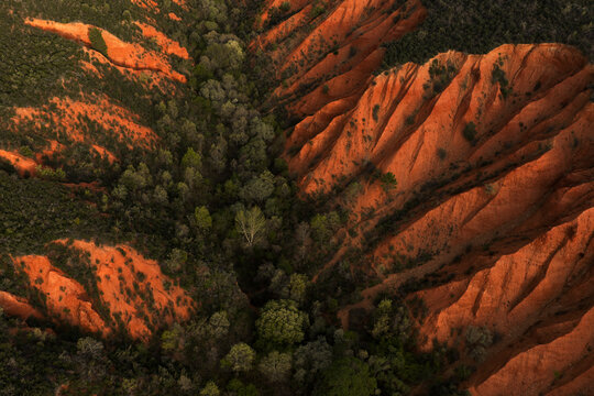 Sandcolor badlands and spring forest in Guadalajara, Spain