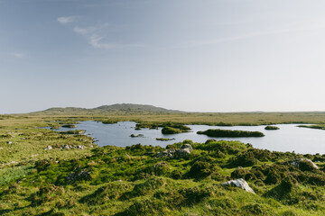 Obraz premium Wild lake and bog landscape at Roundstone Bog in Connemara, County Galway, Ireland. Scenic peatland wilderness near Roundstone with views toward the Twelve Bens.