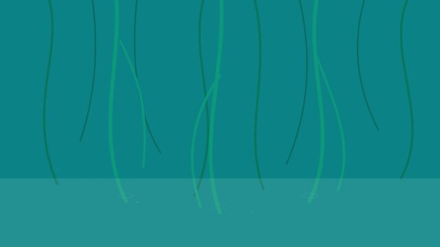 minimalist mangrove tree roots dipping on aqua background