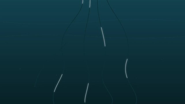 minimalist mangrove tree roots pulsing on water blue