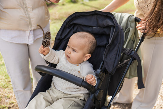 Baby in stroller exploring nature at the park
