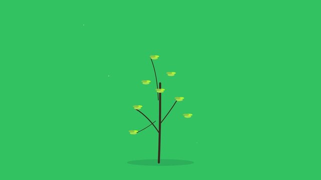 minimalist ash tree with vibrant green background