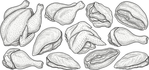 Vintage hand drawn monochrome line art sketch vector illustration set of raw chicken parts whole carcass wing drumstick and breast meat isolated on transparent background © ALINA