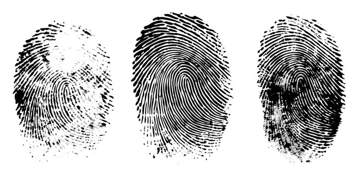 fingerprint trio black and white biometric details on white background