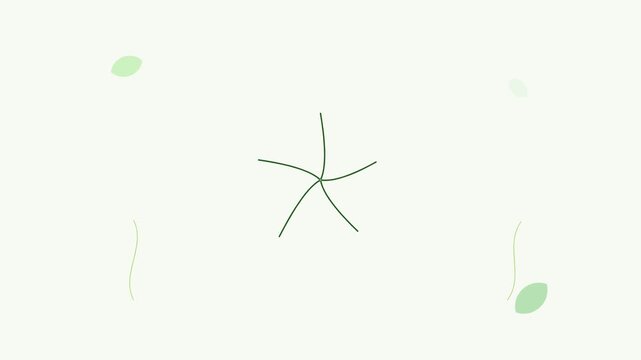leaf bloom pattern bright modern motion graphic
