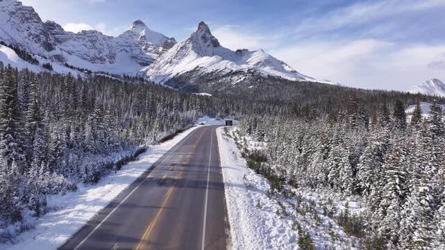 Highway 93, Icefields Parkway, Jasper National Park, Alberta, Canada