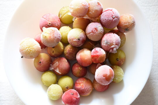 High-quality close-up photo of fresh camu camu fruit (Myrciaria dubia) from the Peruvian Amazon. Perfect for health, wellness, nutrition, superfood, organic food, tropical fruit, and commercial food