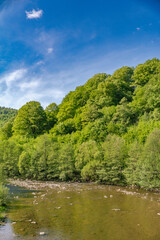 Obraz premium Mountain river flowing through green forest under blue sky
