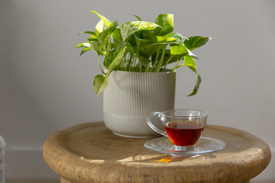 Ribbed off-white planter with variegated plant is sitting on wooden stool near window, with teacup