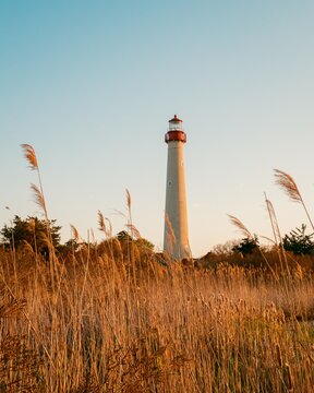 Marsh grasses and Cape May Lighthouse, Cape May, New Jersey