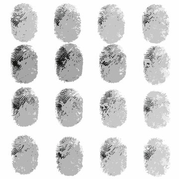 fingerprint collection on white background forensic evidence patterns