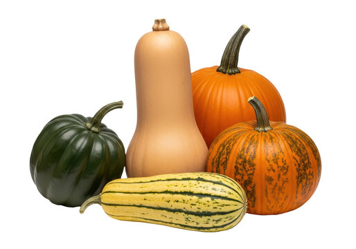 Variety of winter squashes and pumpkins including butternut, acorn, and delicata, isolated on transparent background