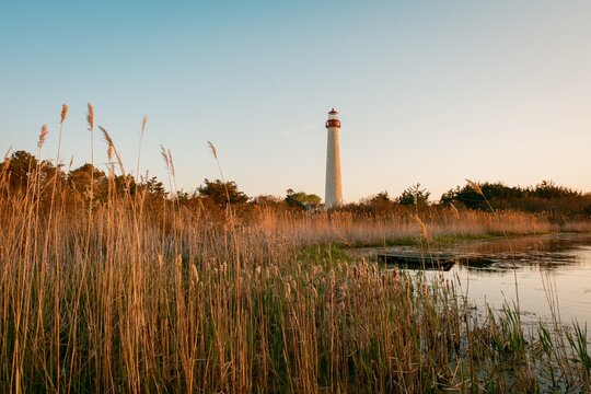 Marsh grasses and Cape May Lighthouse, Cape May, New Jersey