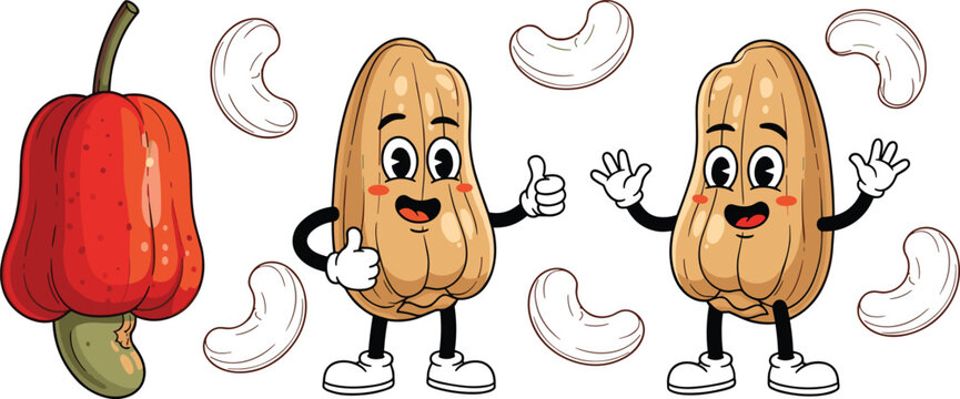 Cashew character cartoon set. Cute mascot nut giving thumbs up alongside red cashew apple fruit and raw outline kernels for children food packaging design.