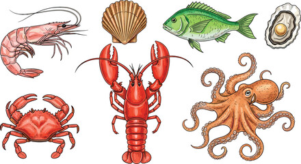 Seafood vector set. Shrimp, lobster, crab, shell, fish, and octopus illustrations. Ideal for marine life, seafood designs, and ocean-themed projects. © IVY QUEEN