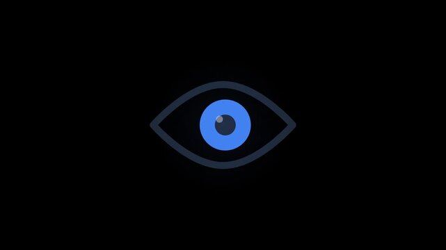 Eye Visibility Privacy View Show Hide Interface Icon Animation