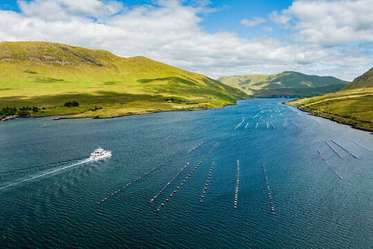 A tour boat cruises along Killary Fjord beneath bright green mountains and open skies in western Ireland. A scenic travel landscape highlighting sightseeing on Irelands only fjord.