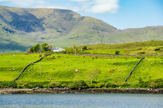 Green mountain slopes rise above Killary Fjord under bright skies in western Ireland. This image is a scenic landscape focused more on the fjord lush hillsides than the water.