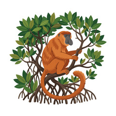 Obraz premium Orange monkey sitting on mangrove tree branches, white background