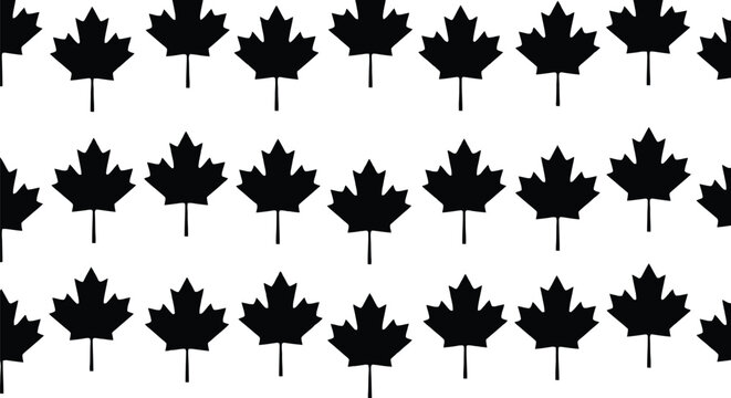 Canada day vector seamless pattern of black maple leaves on white background