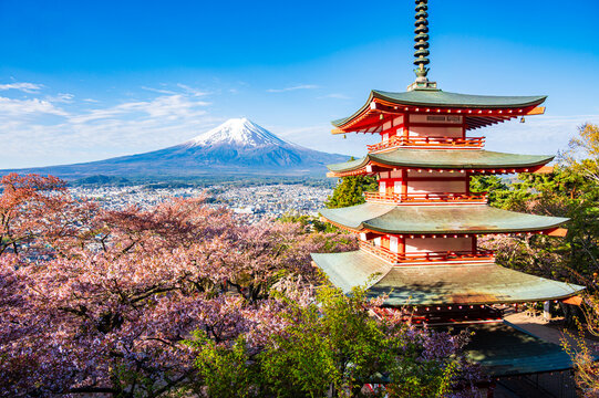 Chureito pagoda with the mount Fuji view in summer, in Arakurayama Sengen Park, Fujiyoshida, Yamanashi, Japan