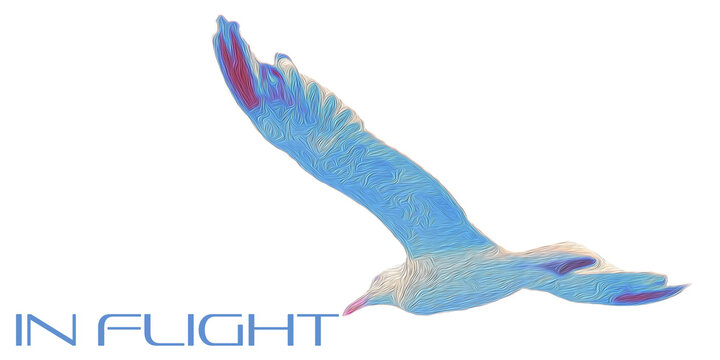 transparent PNG image - "IN FLIGHT" text next to flying, soaring seagull on transparent background, freedom, light & airy, air, bird, seagull, flying, sky, fly, flight, gull, sea, wing, wings, white,