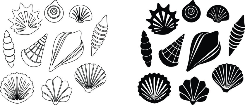 Collection of various seashell shapes in outline and silhouette styles for beach theme art.