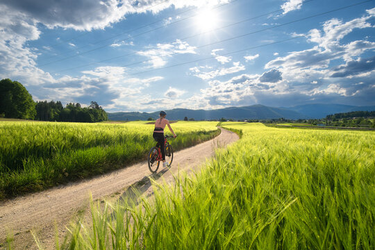 Woman riding mountain bike on dirt road through green wheat fields at sunset in Slovenia. Female cyclist cycling in countryside landscape and sunny sky. Summer outdoor activity, fitness. Girl on bike
